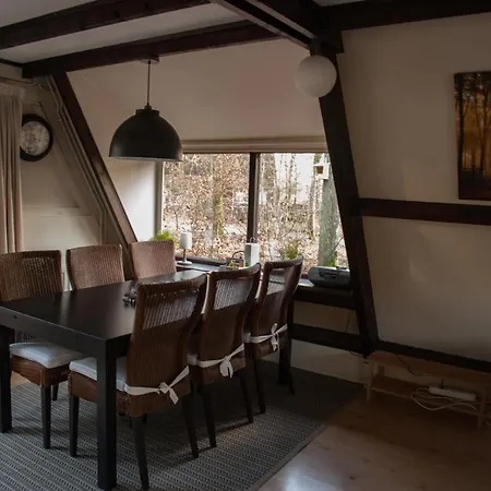 De Rosse Eekhoorn * Дюрбюи