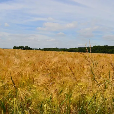 De Rosse Eekhoorn Horská chata *