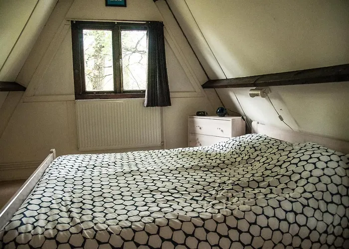 De Rosse Eekhoorn * デュルビュイ