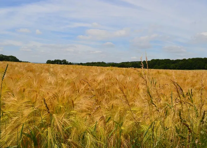 De Rosse Eekhoorn シャレー *