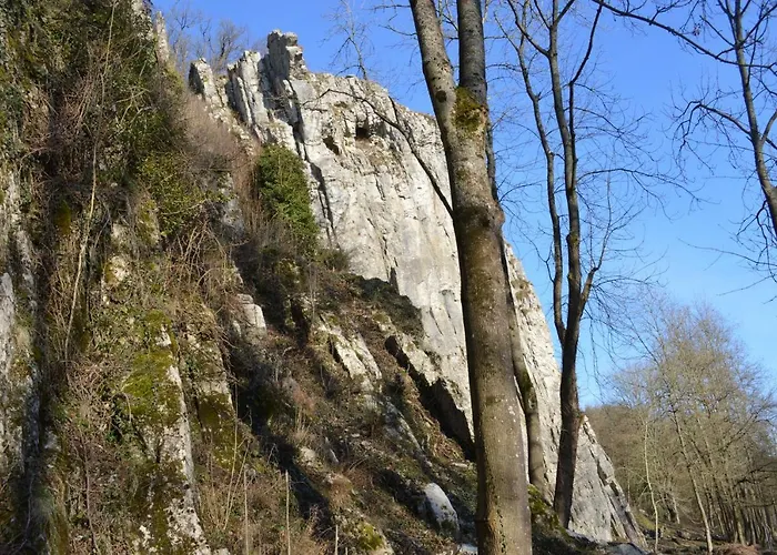 シャレー De Rosse Eekhoorn デュルビュイ