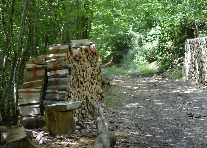 シャレー De Rosse Eekhoorn