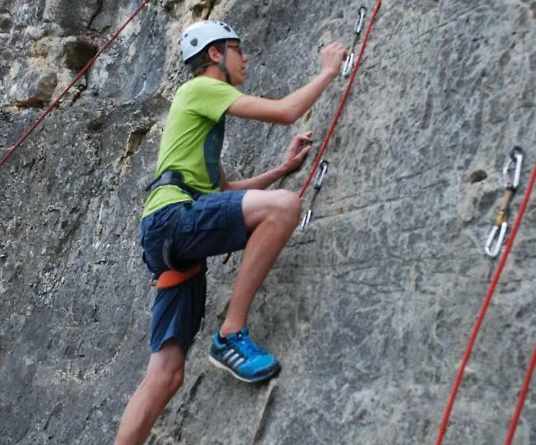 De Rosse Eekhoorn * デュルビュイ