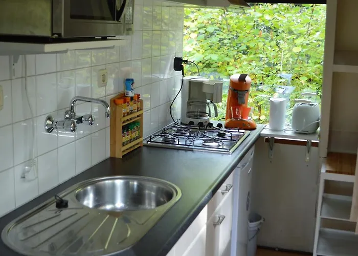 De Rosse Eekhoorn * デュルビュイ